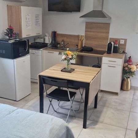 Studio Plein Sud Au Calme Montauban Dış mekan fotoğraf